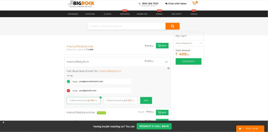 Bigrock domain name purchase